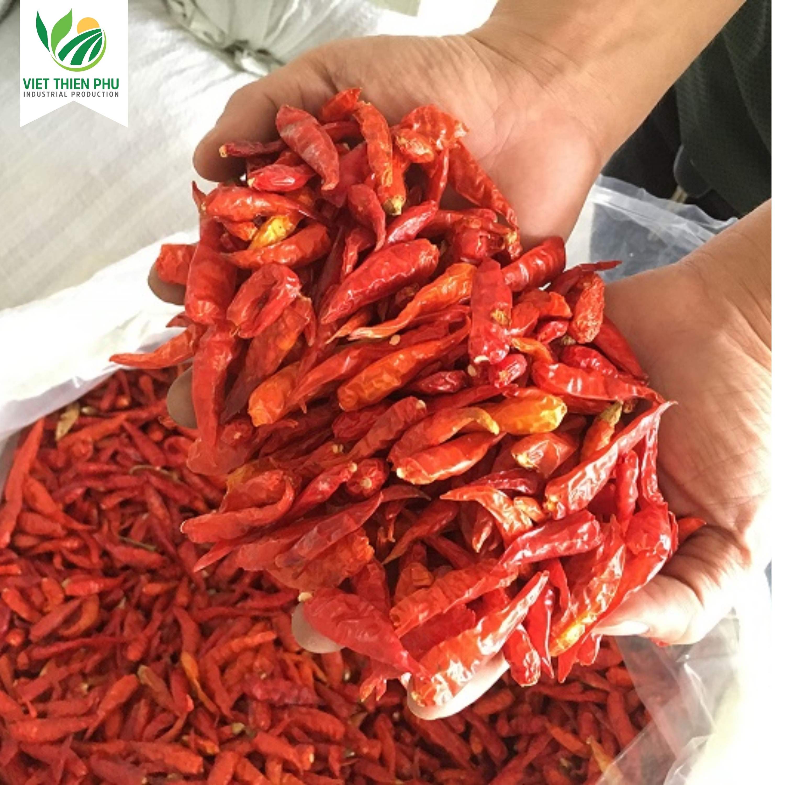 HIGH-QUALITY VIETNAMESE DRIED RED CHILI FOR EXPORT – SINGLE SPICE INGREDIENT WITH 24-MONTH SHELF LIFE 3
