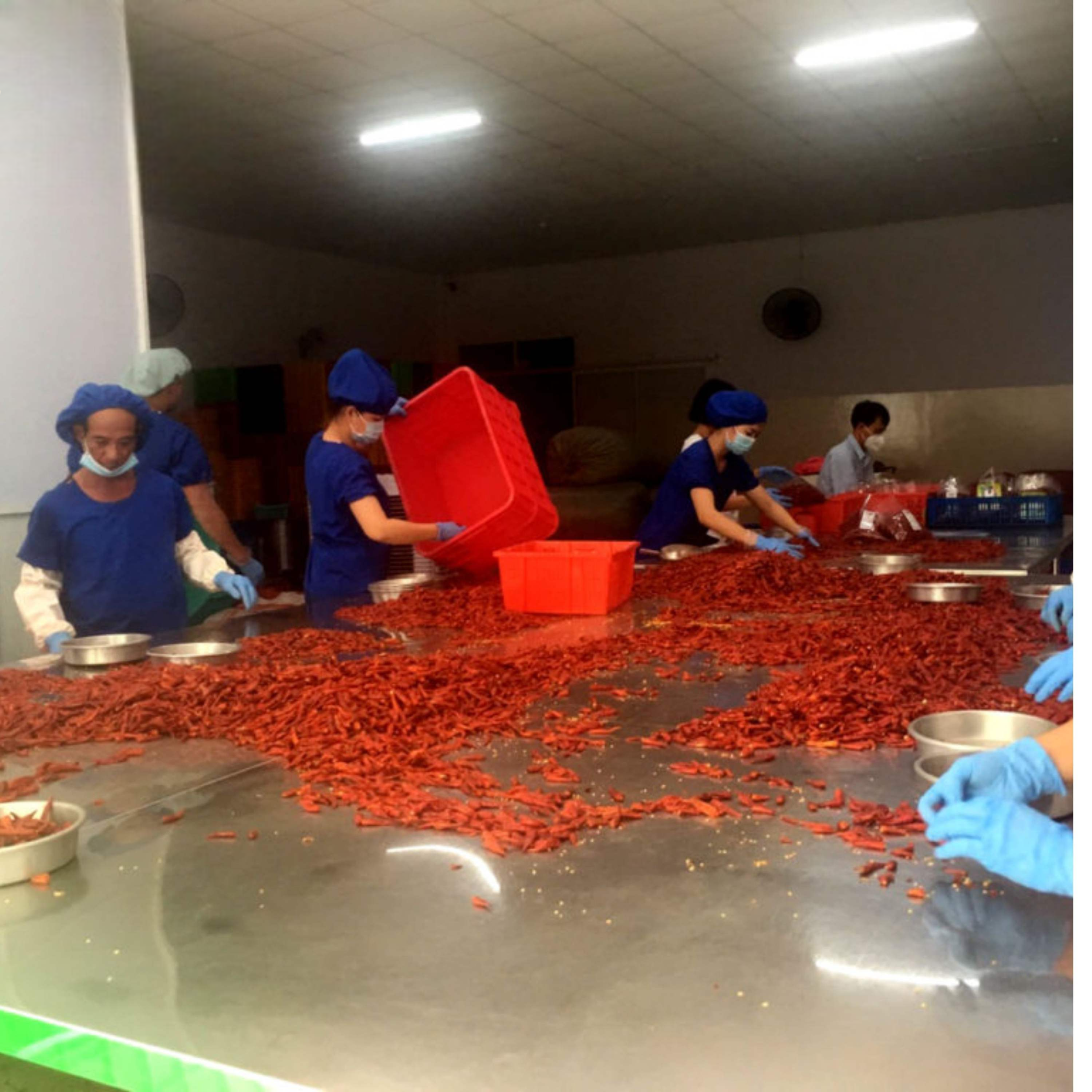 HIGH-QUALITY VIETNAMESE DRIED RED CHILI FOR EXPORT – SINGLE SPICE INGREDIENT WITH 24-MONTH SHELF LIFE 4