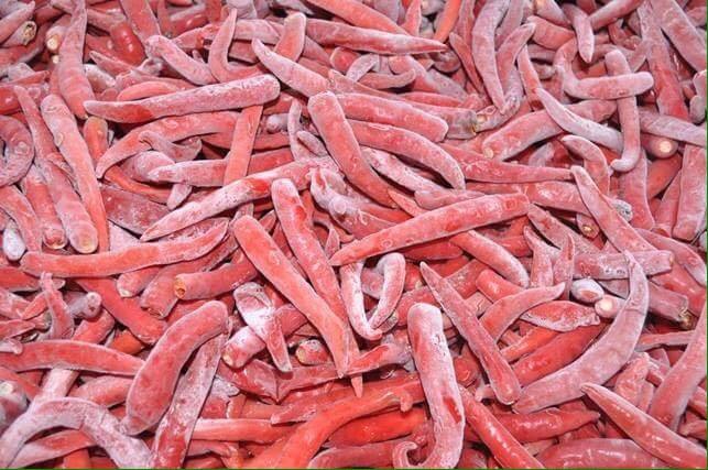 VIETNAMESE IQF FROZEN RED CHILI FOR EXPORT – HIGH-HEAT CHILI PEPPERS FOR WHOLESALE SUPPLY 3