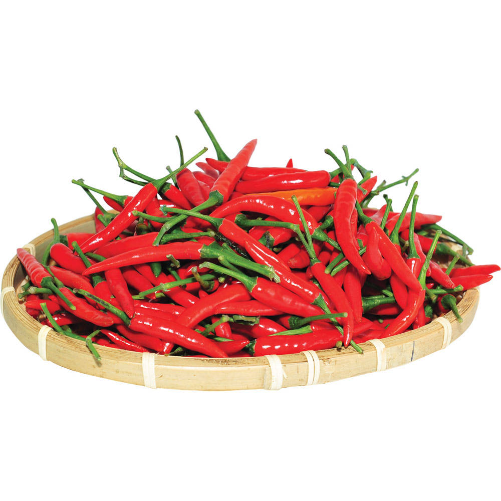 VIETNAMESE IQF FROZEN RED CHILI FOR EXPORT – HIGH-HEAT CHILI PEPPERS FOR WHOLESALE SUPPLY 4