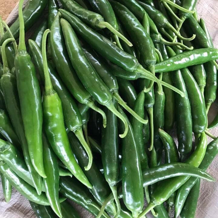 VIETNAMESE FRESH AND IQF FROZEN GREEN CHILI FOR EXPORT – HIGH QUALITY, COMPETITIVE WHOLESALE PRICES