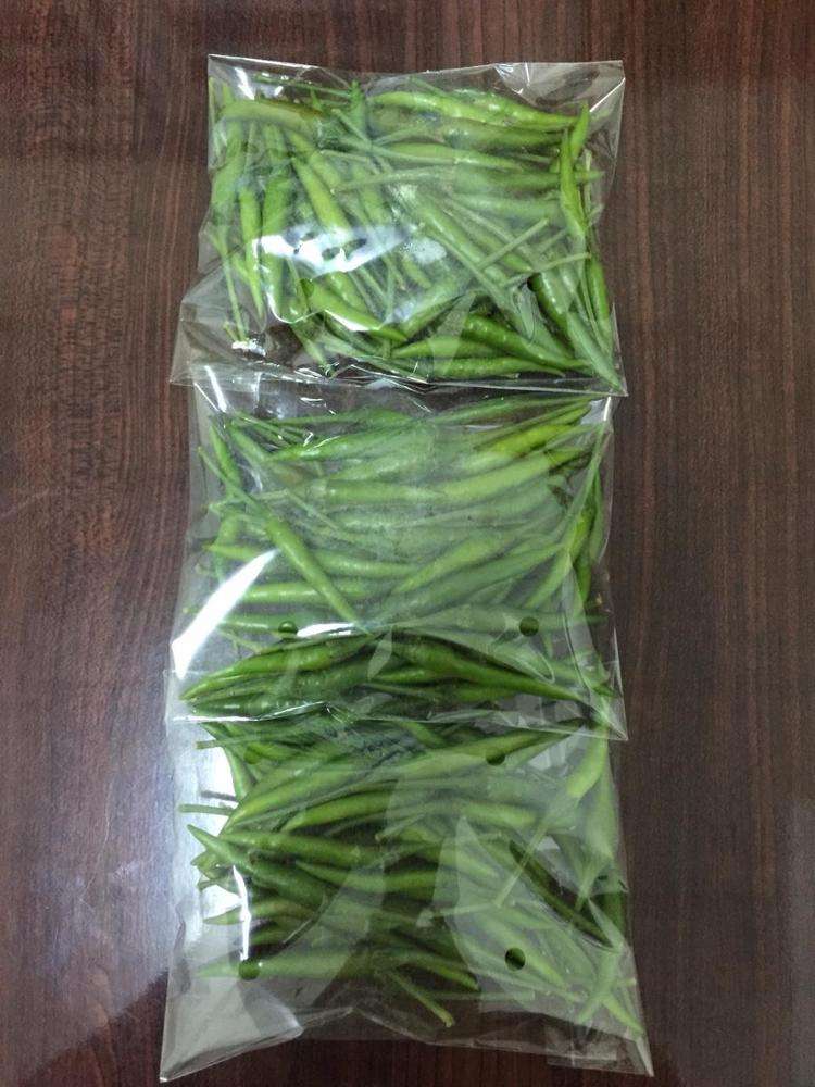 VIETNAMESE FRESH AND IQF FROZEN GREEN CHILI FOR EXPORT – HIGH QUALITY, COMPETITIVE WHOLESALE PRICES 2