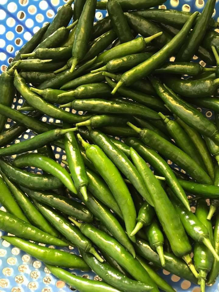 VIETNAMESE FRESH AND IQF FROZEN GREEN CHILI FOR EXPORT – HIGH QUALITY, COMPETITIVE WHOLESALE PRICES 4