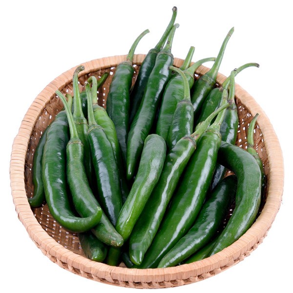 VIETNAMESE FRESH GREEN HORN CHILI FOR EXPORT – MILD TO SPICY FLAVOR, WHOLESALE BULK SUPPLY
