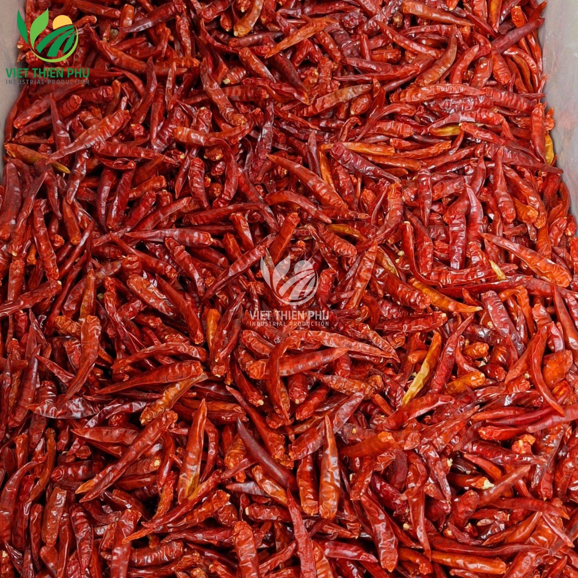 PREMIUM VIETNAMESE DRIED RED CHILI FOR EXPORT – HIGH-QUALITY SPICE FOR FOOD PROCESSING AND SEASONING