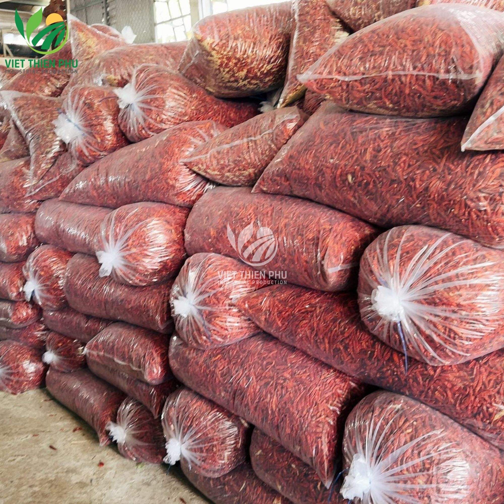 PREMIUM VIETNAMESE DRIED RED CHILI FOR EXPORT – HIGH-QUALITY SPICE FOR FOOD PROCESSING AND SEASONING 2