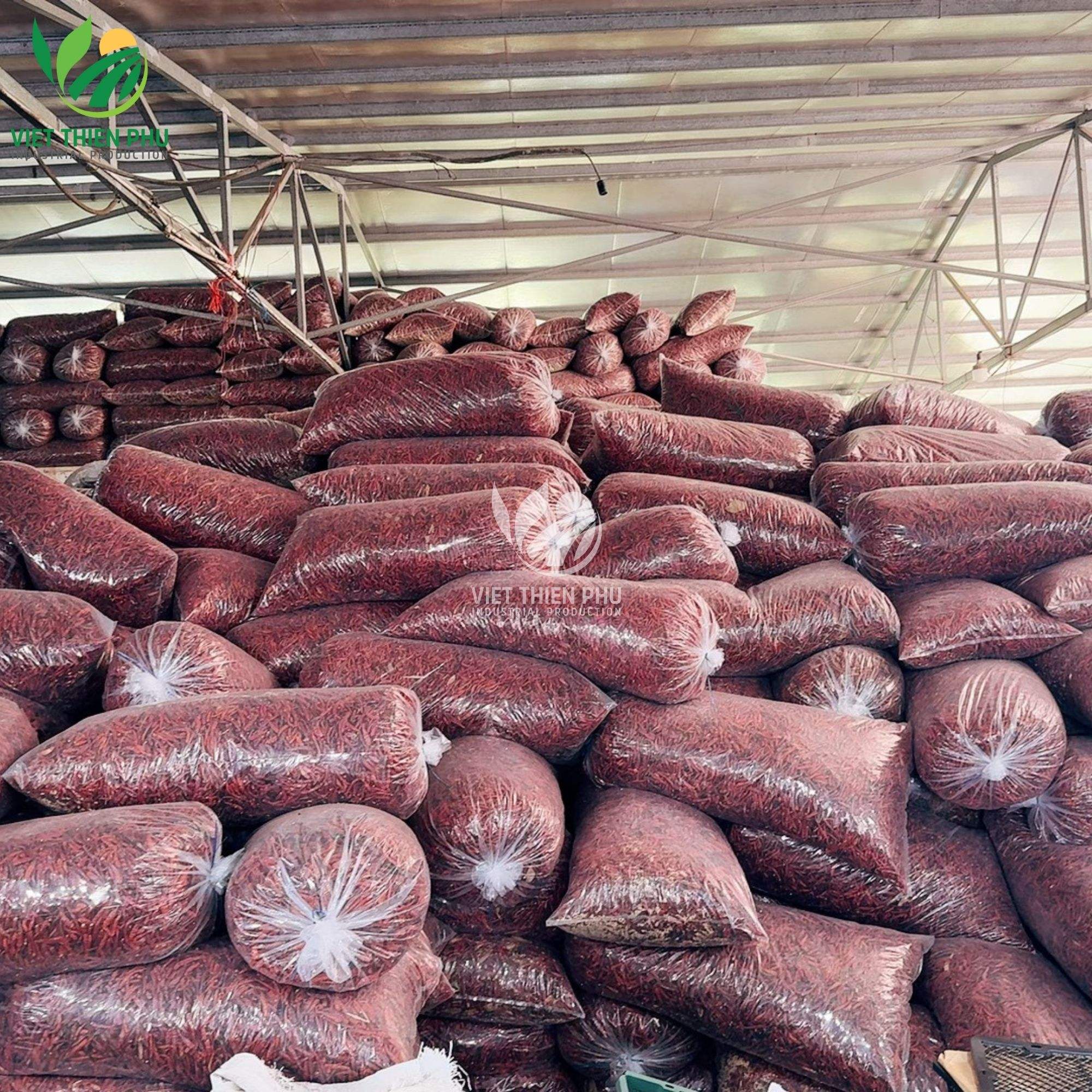 PREMIUM VIETNAMESE DRIED RED CHILI FOR EXPORT – HIGH-QUALITY SPICE FOR FOOD PROCESSING AND SEASONING 3