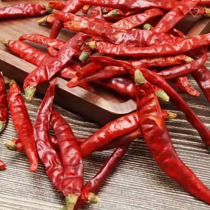 VIETNAMESE DRIED RED CHILI FOR EXPORT – YIDU-STYLE CHILI SUPPLY FOR INTERNATIONAL MARKETS