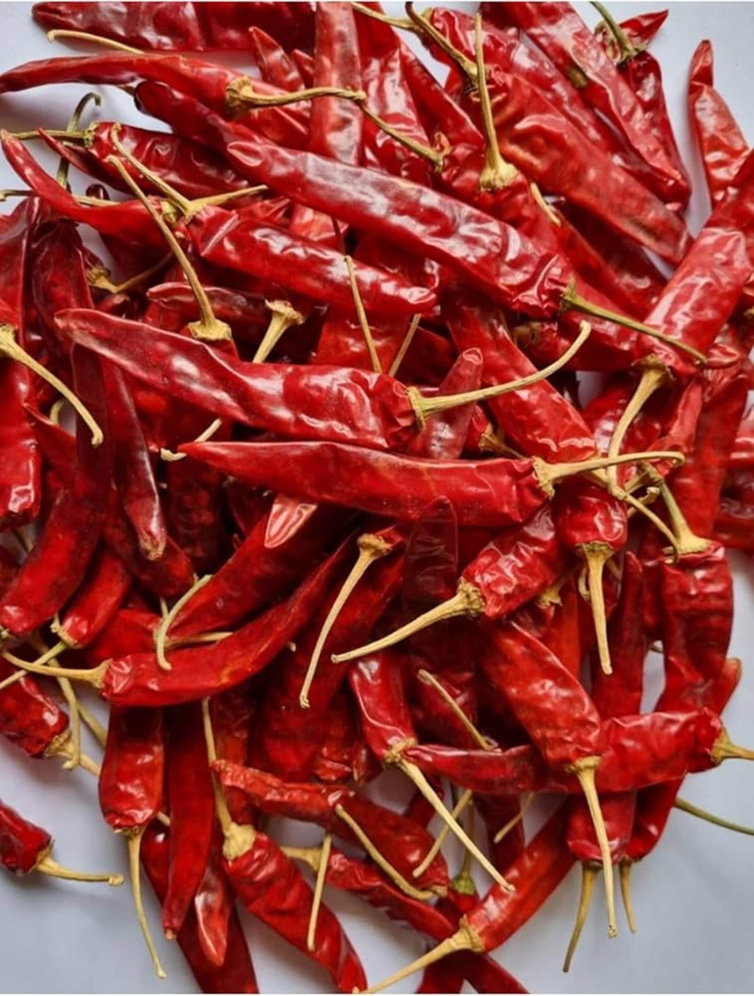 VIETNAMESE DRIED RED CHILI FOR EXPORT – YIDU-STYLE CHILI SUPPLY FOR INTERNATIONAL MARKETS 4
