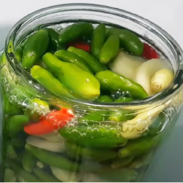 VIETNAMESE CANNED PICKLED GREEN CHILI – SPICY, CRUNCHY PRESERVED CHILI IN BULK CARTON PACKAGING
