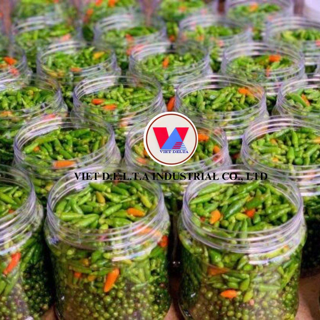 VIETNAMESE CANNED PICKLED GREEN CHILI – SPICY, CRUNCHY PRESERVED CHILI IN BULK CARTON PACKAGING 2