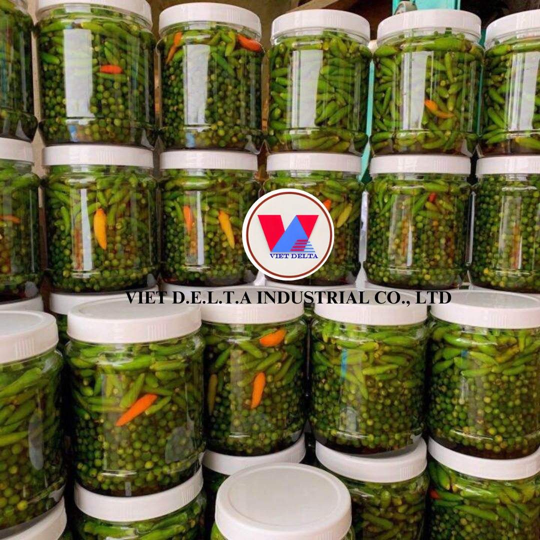 VIETNAMESE CANNED PICKLED GREEN CHILI – SPICY, CRUNCHY PRESERVED CHILI IN BULK CARTON PACKAGING 3