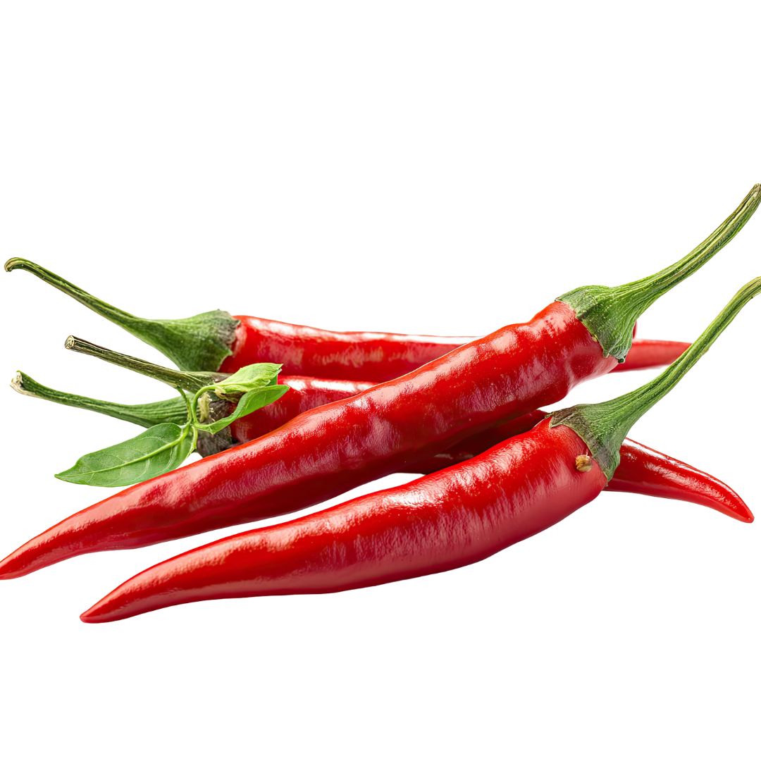 PREMIUM VIETNAMESE FRESH CHILI FOR EXPORT – NATURAL FRESHNESS, RELIABLE B2B WHOLESALE SUPPLY
