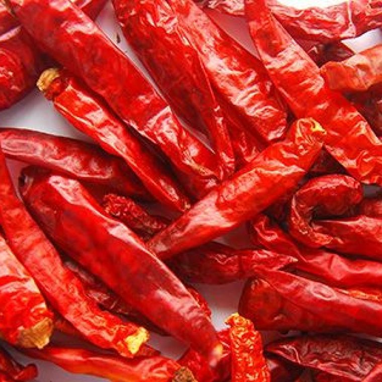 PREMIUM VIETNAMESE DRIED HOT CHILI PEPPERS – WHOLESALE BULK SUPPLY, EXPORT-READY FOR GLOBAL IMPORTERS 2