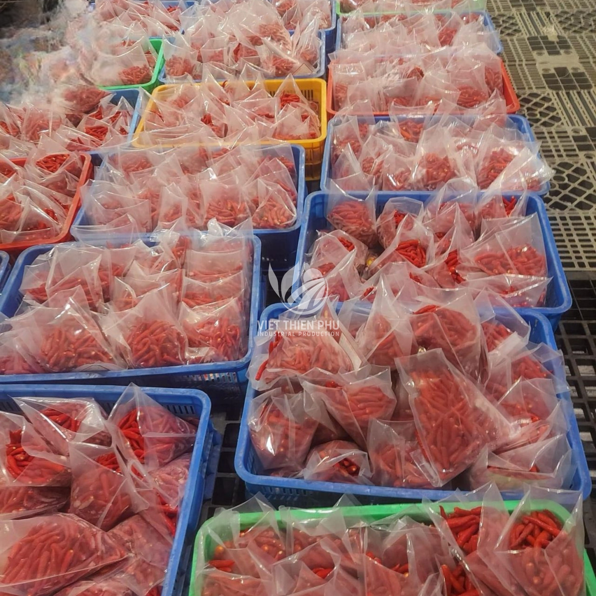 VIETNAMESE IQF FROZEN FRESH CHILI PEPPERS – HIGH-QUALITY SUPPLIER FOR INTERNATIONAL EXPORT