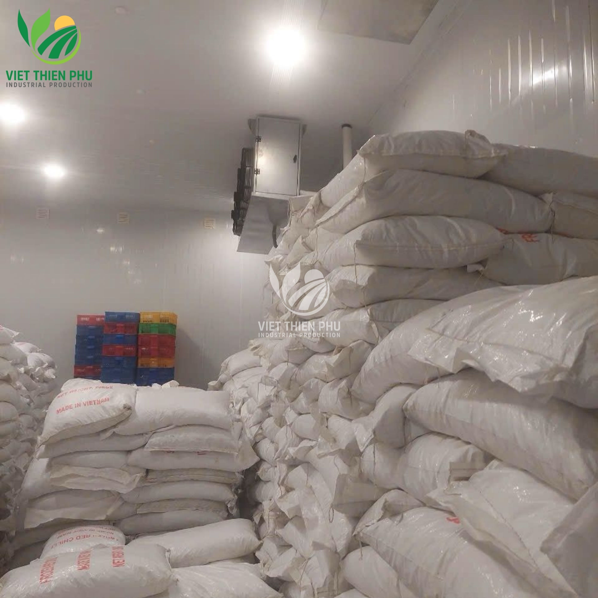 VIETNAMESE IQF FROZEN FRESH CHILI PEPPERS – HIGH-QUALITY SUPPLIER FOR INTERNATIONAL EXPORT 4