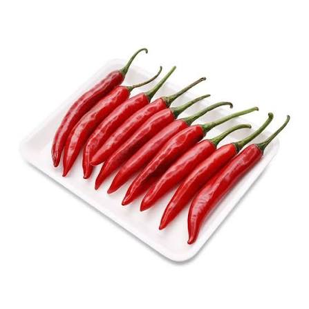 VIETNAMESE RED HORN CHILI PEPPERS FOR EXPORT – FRESH RED CHILI SUPPLIER FOR INTERNATIONAL WHOLESALE 3