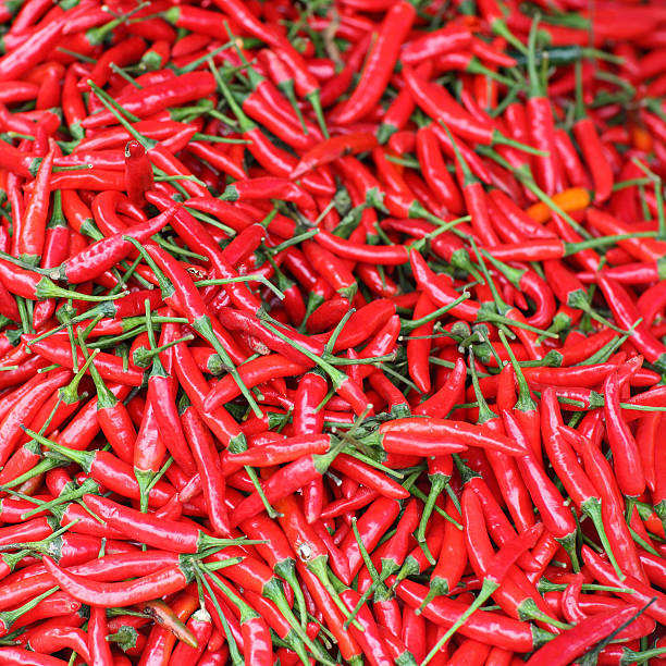 VIETNAMESE FRESH RED CHILI EXPORTER – GLOBALG.A.P. CERTIFIED, ORGANIC OPTIONS AND VERIFIED QUALITY 3