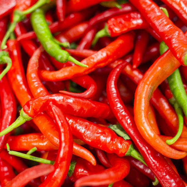 VIETNAMESE FRESH RED CHILI EXPORTER – GLOBALG.A.P. CERTIFIED, ORGANIC OPTIONS AND VERIFIED QUALITY 4