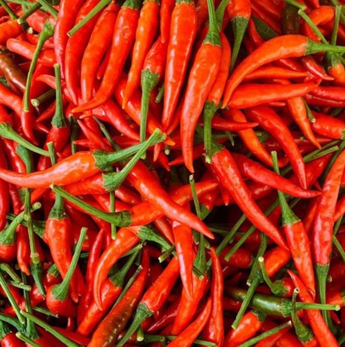 PREMIUM VIETNAMESE FRESH RED CHILI PEPPERS – LARGE SIZE, 3 VARIETIES, 25KG BULK PACKAGING FOR EXPORT 2