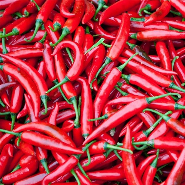 PREMIUM VIETNAMESE FRESH RED CHILI PEPPERS – LARGE SIZE, 3 VARIETIES, 25KG BULK PACKAGING FOR EXPORT 4