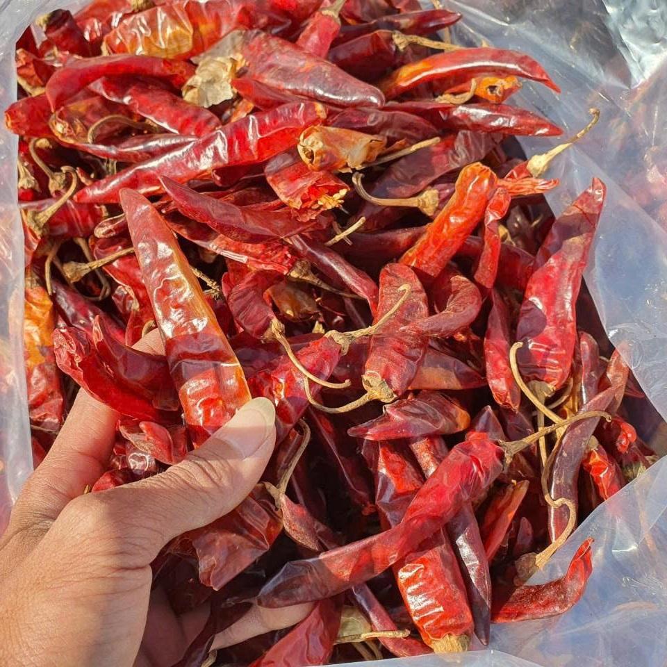 PREMIUM VIETNAMESE DRIED CHILI PEPPERS – NATURAL SPICY SEASONING FOR WHOLESALE EXPORT