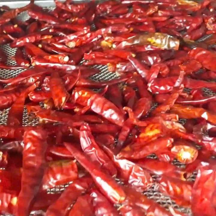 PREMIUM VIETNAMESE DRIED CHILI PEPPERS – NATURAL SPICY SEASONING FOR WHOLESALE EXPORT 2
