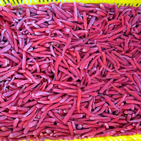 VIETNAMESE IQF FROZEN RED CHILI PEPPERS FOR EXPORT – COMPETITIVE WHOLESALE PRICES AND BULK SUPPLY