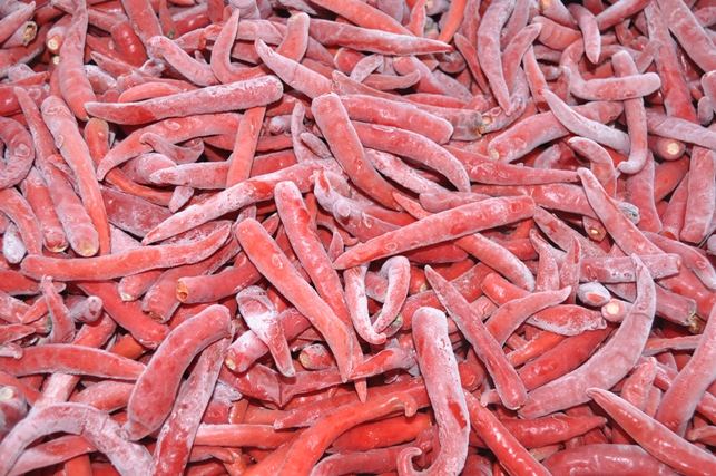 VIETNAMESE IQF FROZEN RED CHILI PEPPERS FOR EXPORT – COMPETITIVE WHOLESALE PRICES AND BULK SUPPLY 4