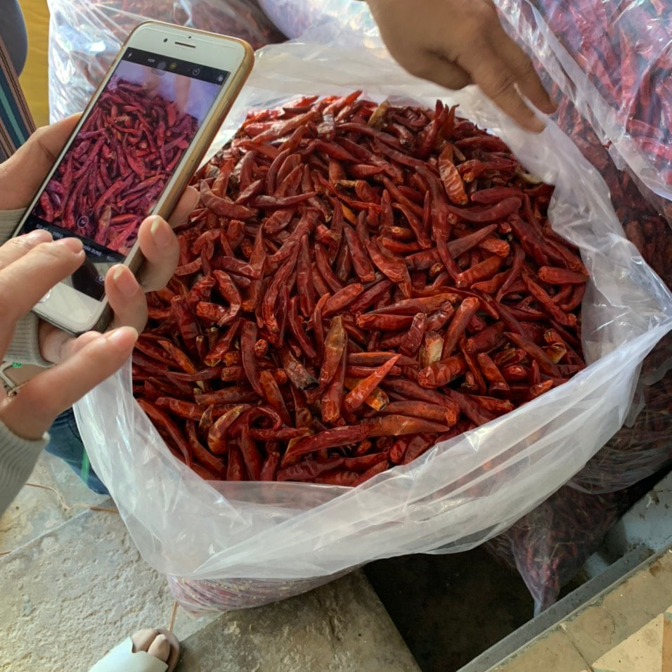 VIETNAMESE PREMIUM-GRADE DRIED CHILI PEPPERS FOR EXPORT – COMPETITIVE WHOLESALE PRICES AND BULK SUPPLY