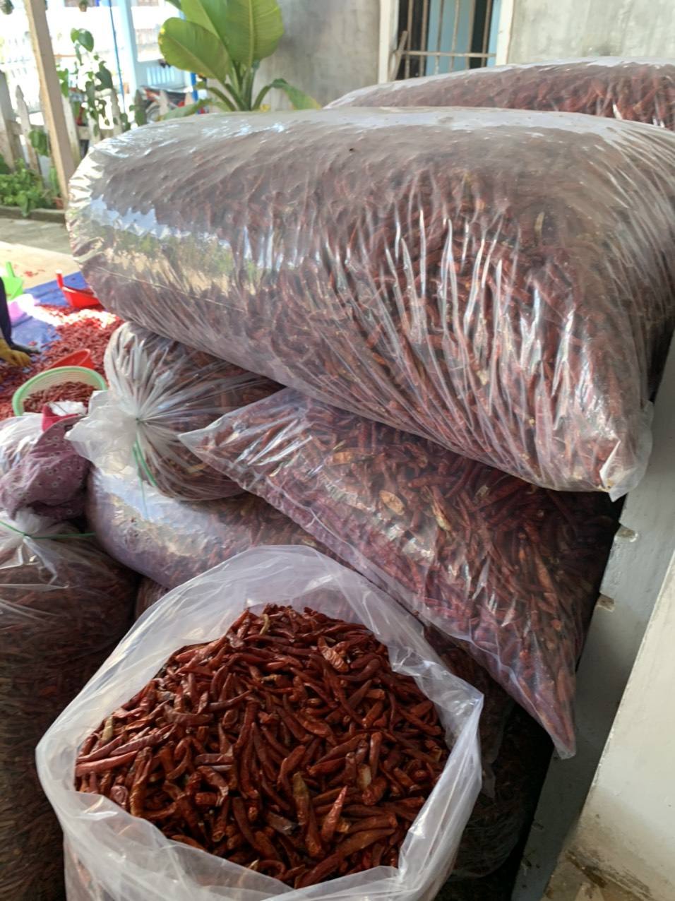 VIETNAMESE PREMIUM-GRADE DRIED CHILI PEPPERS FOR EXPORT – COMPETITIVE WHOLESALE PRICES AND BULK SUPPLY 2
