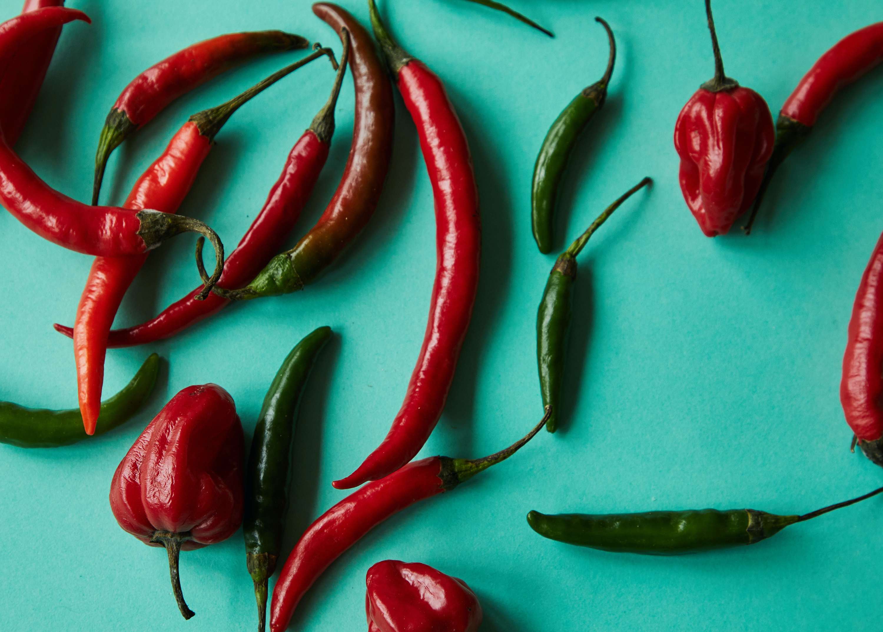 VIETNAMESE PREMIUM-GRADE DRIED CHILI PEPPERS FOR EXPORT – COMPETITIVE WHOLESALE PRICES AND BULK SUPPLY 3
