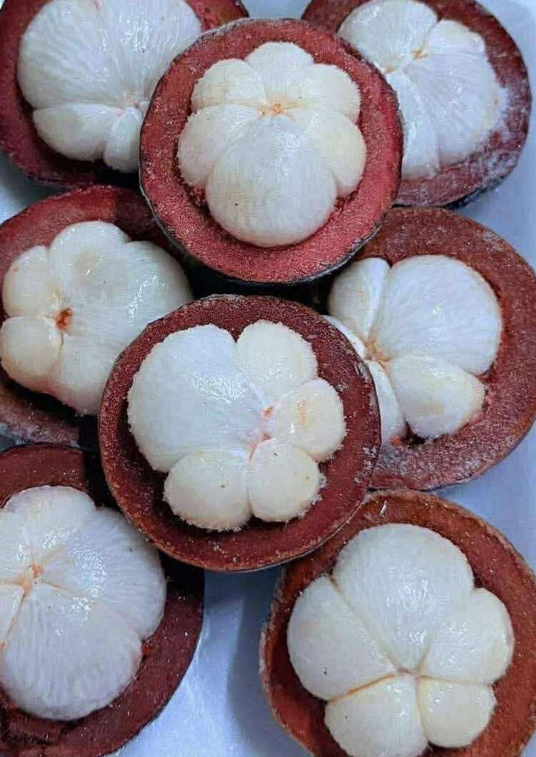 VIETNAMESE FREEZE-DRIED MANGOSTEEN FOR EXPORT – CRISPY FRUIT SNACK WITH NATURAL SWEETNESS 3