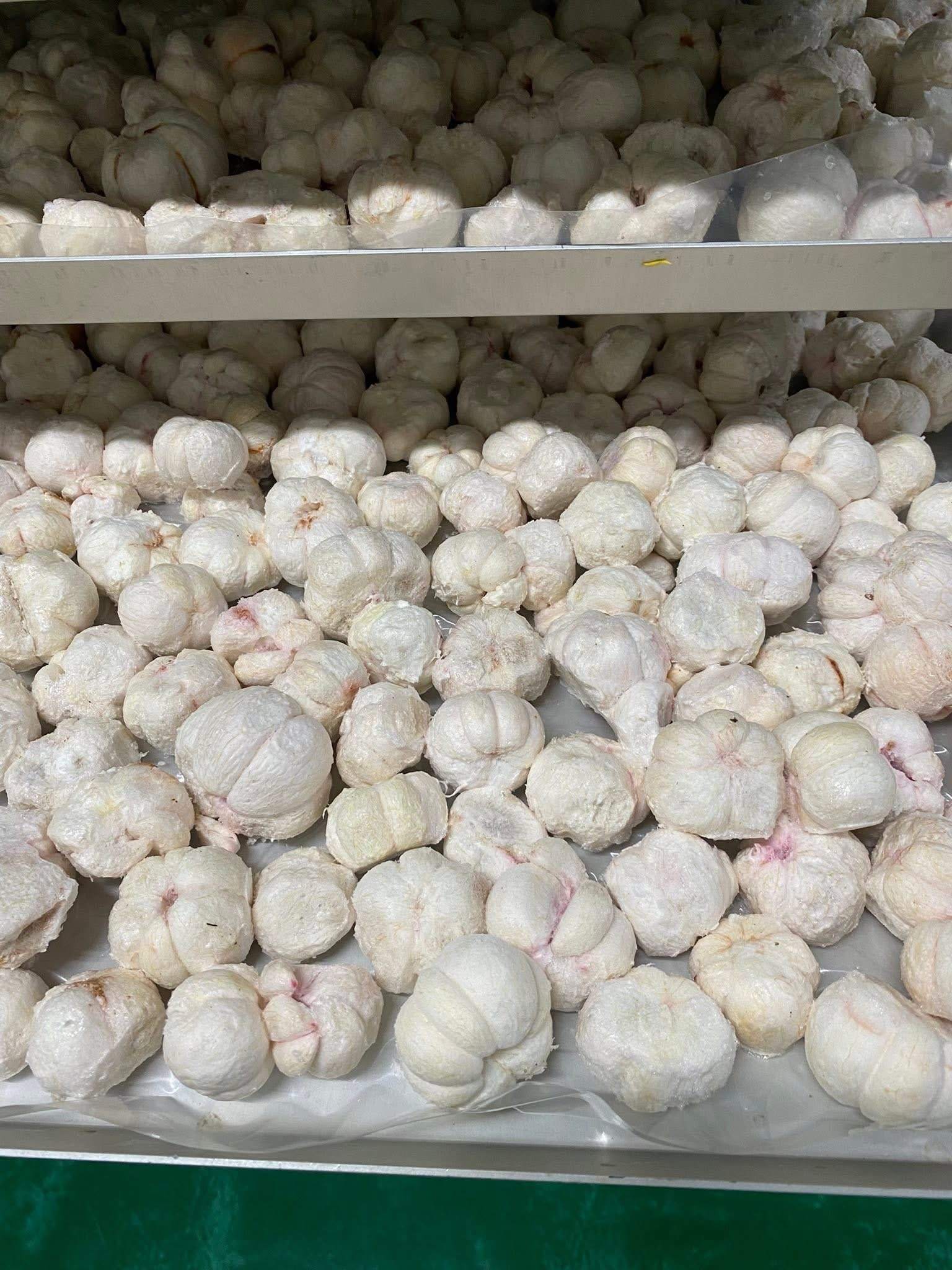 VIETNAMESE CRISPY DRIED MANGOSTEEN FOR EXPORT – SWEET FRUIT SNACK, NO ADDED ADDITIVES AND CUSTOM PRIVATE LABEL 3