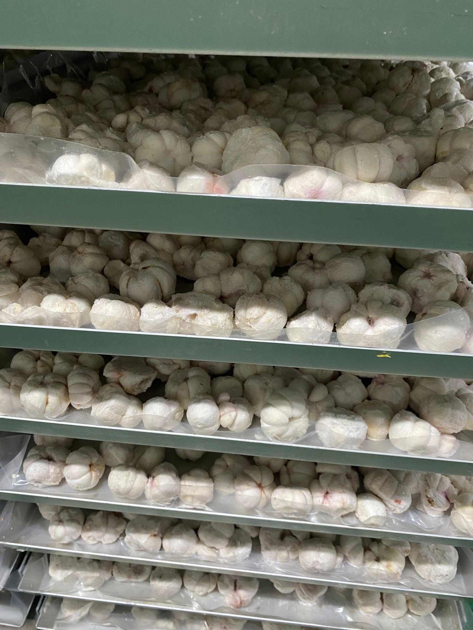 VIETNAMESE CRISPY DRIED MANGOSTEEN FOR EXPORT – SWEET FRUIT SNACK, NO ADDED ADDITIVES AND CUSTOM PRIVATE LABEL 4
