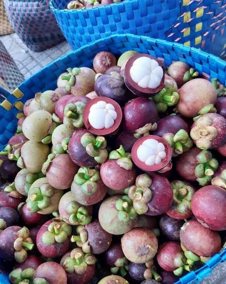 VINH LONG VIETNAMESE FRESH MANGOSTEEN FOR EXPORT – PREMIUM TROPICAL FRUIT WITH SWEET AND TANGY FLAVOR 3