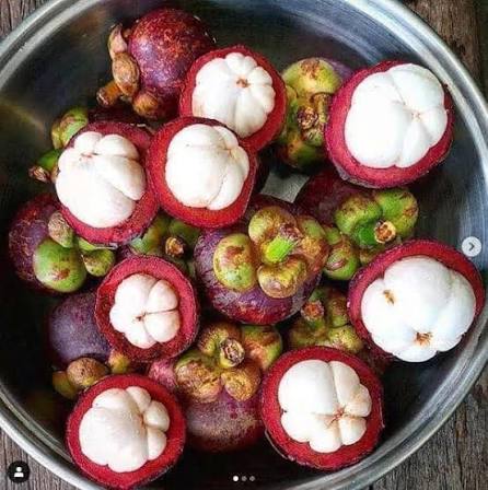 SOUTHEASTERN VIETNAM FRESH MANGOSTEEN FOR EXPORT – PREMIUM TROPICAL FRUIT WITH SWEET AND TANGY FLAVOR