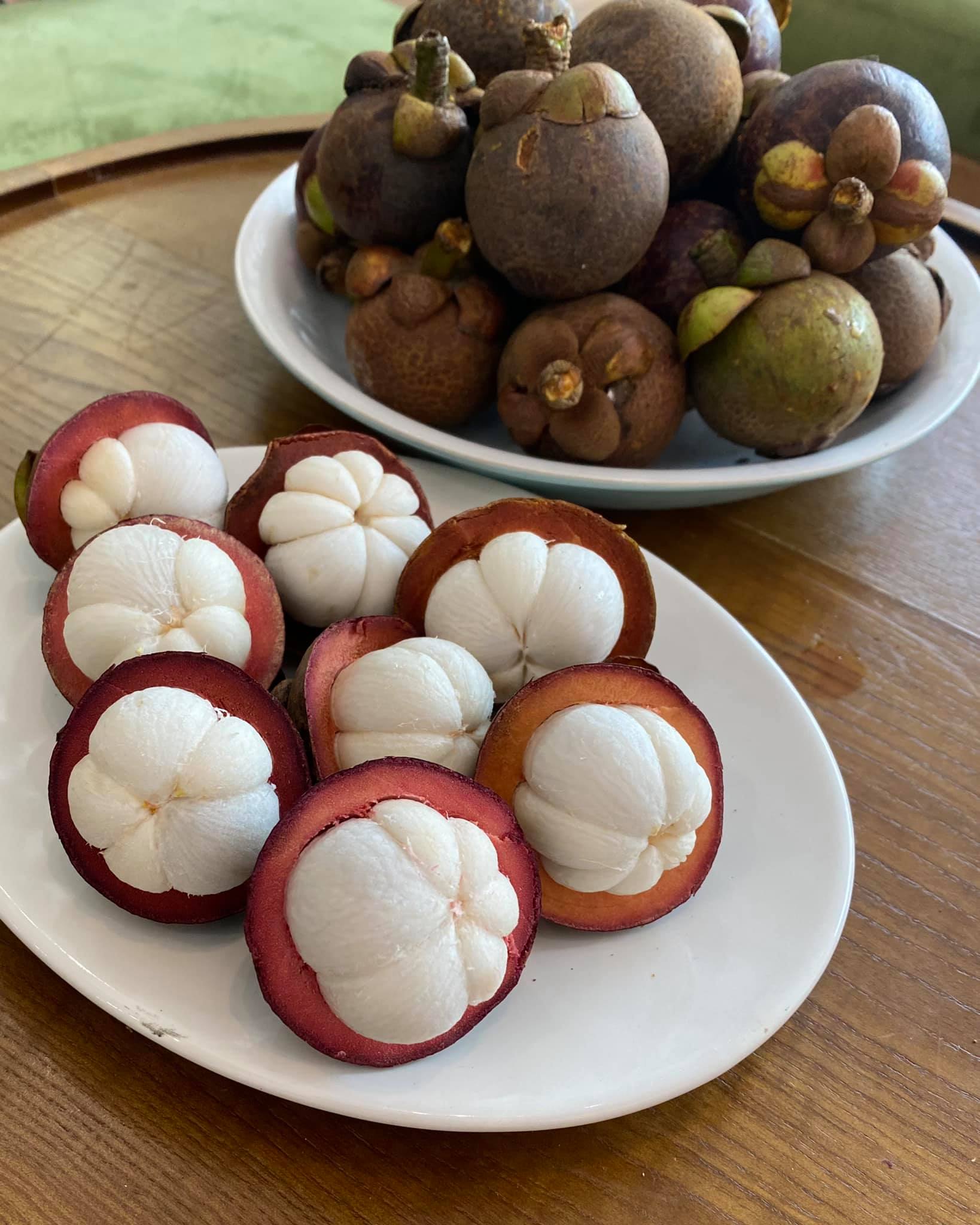 SOUTHEASTERN VIETNAM FRESH MANGOSTEEN FOR EXPORT – PREMIUM TROPICAL FRUIT WITH SWEET AND TANGY FLAVOR 3