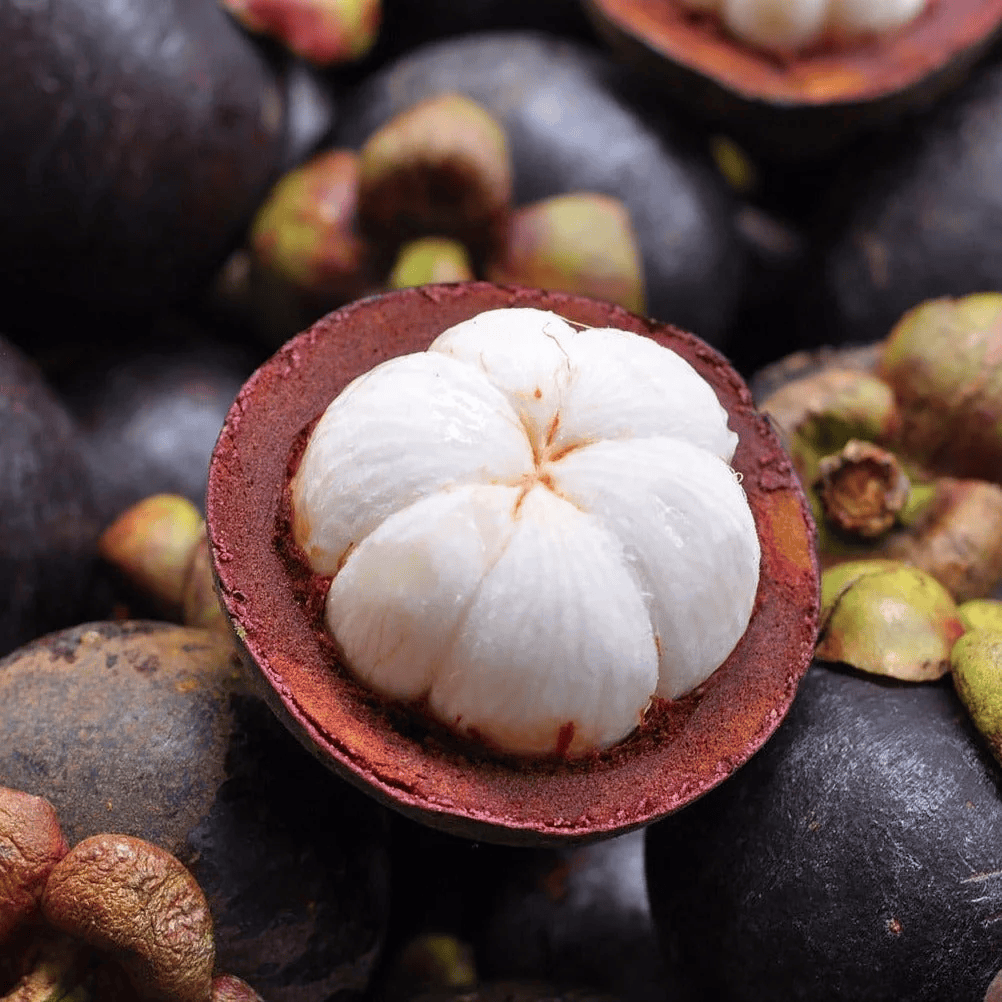 TOP-GRADE VIETNAMESE FRESH MANGOSTEEN FOR EXPORT – SWEET, REFRESHING TROPICAL FRUIT FOR WHOLESALE MARKETS 3