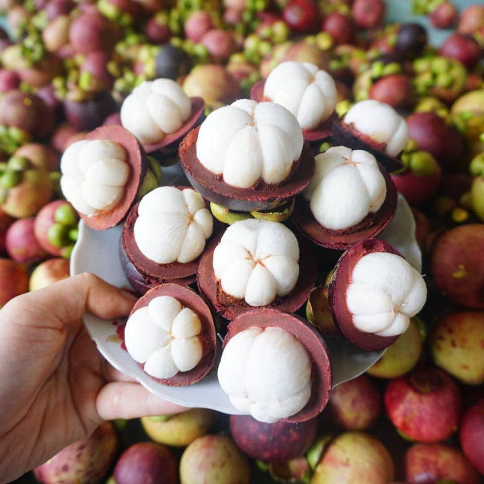 VIETNAMESE PREMIUM DRIED MANGOSTEEN FOR EXPORT – OEM ODM PRIVATE LABEL MANUFACTURING AND WHOLESALE SUPPLY