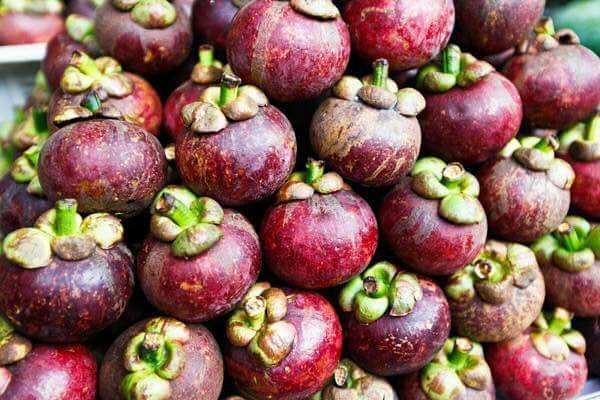 VIETNAMESE PREMIUM DRIED MANGOSTEEN FOR EXPORT – OEM ODM PRIVATE LABEL MANUFACTURING AND WHOLESALE SUPPLY 3