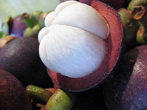 VIETNAMESE PREMIUM DRIED MANGOSTEEN FOR EXPORT – OEM ODM PRIVATE LABEL MANUFACTURING AND WHOLESALE SUPPLY 4
