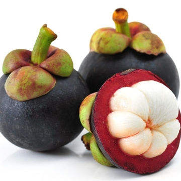 AN GIANG VIETNAMESE FRESH MANGOSTEEN FOR EXPORT – PREMIUM TROPICAL FRUIT WITH SWEET AND TANGY FLAVOR