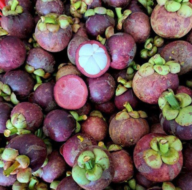 AN GIANG VIETNAMESE FRESH MANGOSTEEN FOR EXPORT – PREMIUM TROPICAL FRUIT WITH SWEET AND TANGY FLAVOR 2