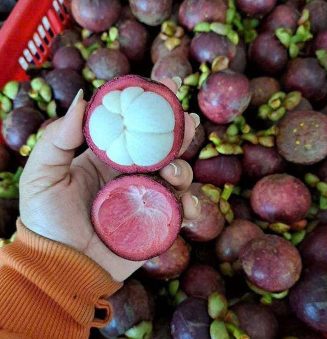 AN GIANG VIETNAMESE FRESH MANGOSTEEN FOR EXPORT – PREMIUM TROPICAL FRUIT WITH SWEET AND TANGY FLAVOR 3
