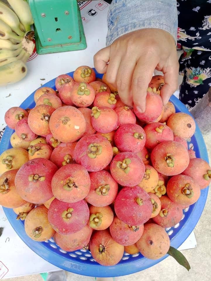 CAN THO VIETNAMESE FRESH MANGOSTEEN FOR EXPORT – PREMIUM TROPICAL FRUIT WITH SWEET, JUICY FLESH 2