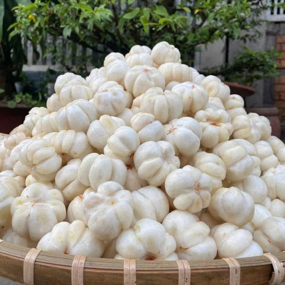 BEN CAT VIETNAMESE FRESH MANGOSTEEN FOR EXPORT – PREMIUM TROPICAL FRUIT WITH SWEET AND JUICY FLESH
