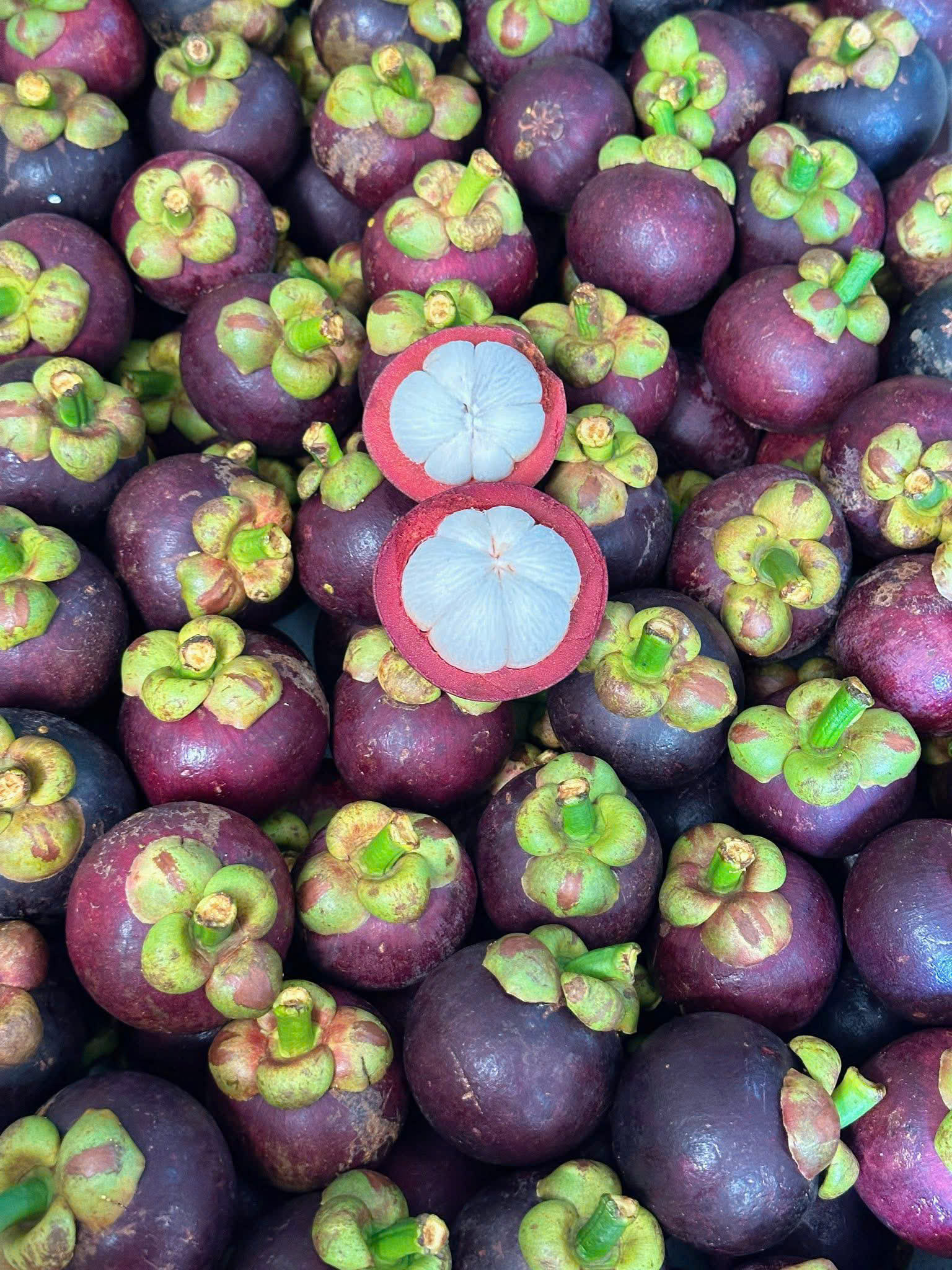 BEN CAT VIETNAMESE FRESH MANGOSTEEN FOR EXPORT – PREMIUM TROPICAL FRUIT WITH SWEET AND JUICY FLESH 2