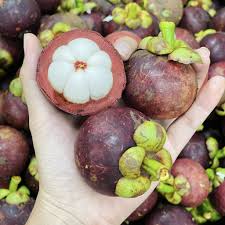 DONG NAI VIETNAMESE FRESH MANGOSTEEN FOR EXPORT – PREMIUM TROPICAL FRUIT WITH SWEET AND JUICY FLESH