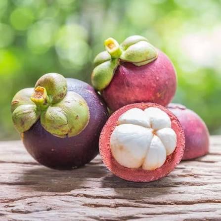 PREMIUM VIETNAMESE FRESH MANGOSTEEN FOR EXPORT – SWEET, JUICY TROPICAL FRUIT FOR WHOLESALE SUPPLY